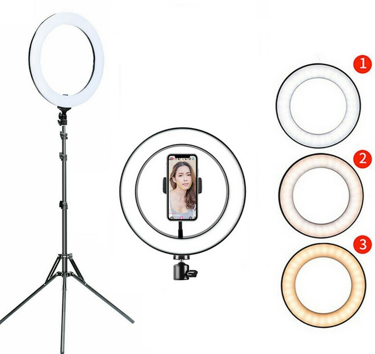 10" Ring Light 1.6M Tripod With Remote