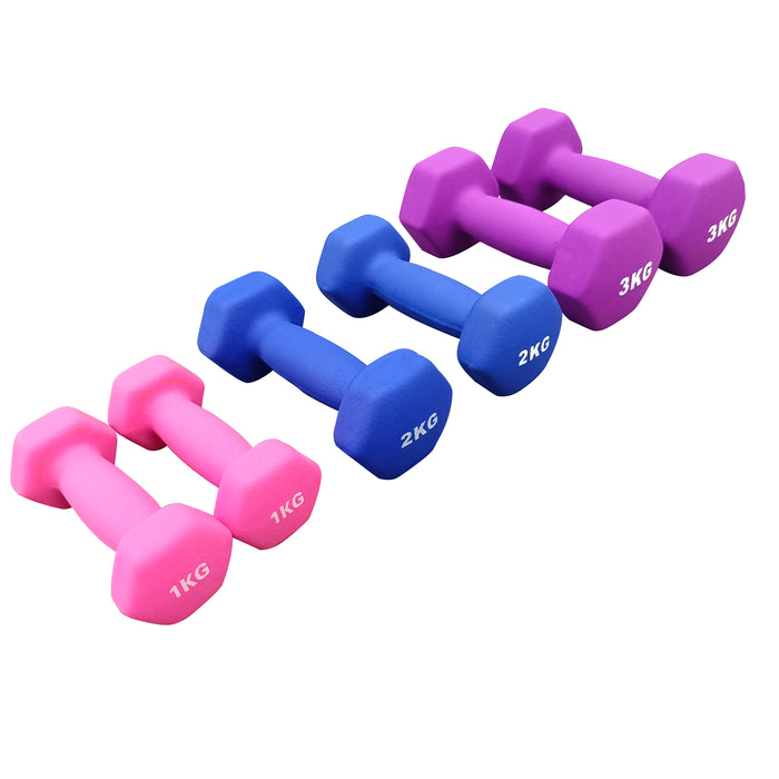 Vinyl Coated Dumbbell Weight Set 1-3KG With Stand